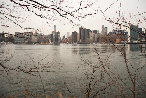 One of the East River’s last wild spaces. At the mouth of Newton Creek, the rocky hills of Hunter’s 