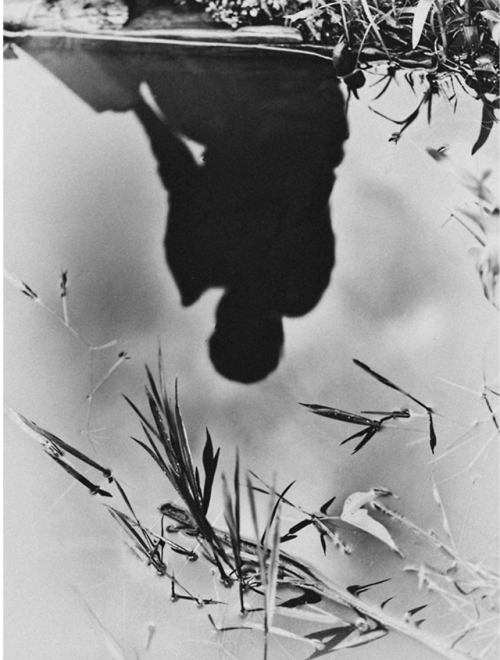 thephotoregistry:  Bastiaan Woudt