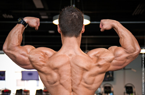 + Muscles