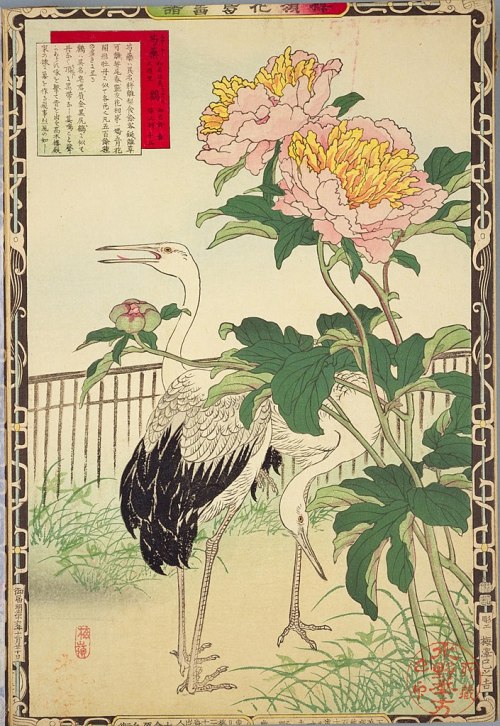 heaveninawildflower:Illustrations from the series ‘Bairei kachō gafu’ by Kōno Bairei (1844-1895).1) 