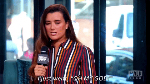 Cote De Pablo Talking About Mark Harmon 