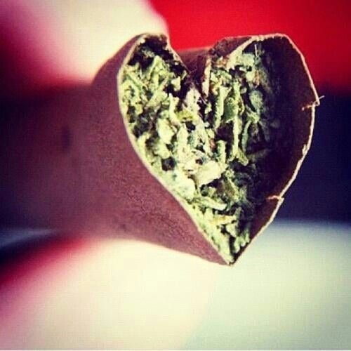venusdragon5:  I ❤️ weed 