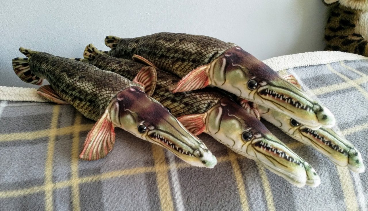 alligator gar stuffed animal
