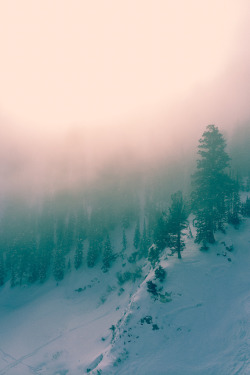 l-eth-e:  untitled {by Mari Sheibley} 