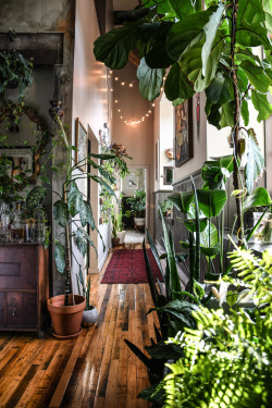 ruemag:This is basically our dream situation. #wonderplants