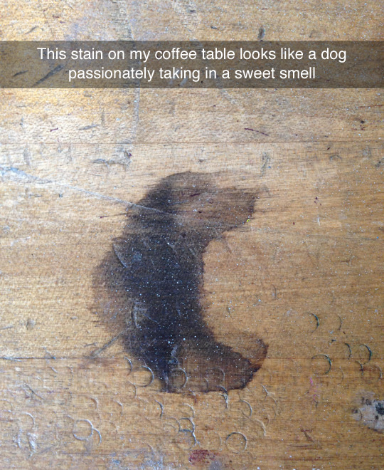 lolzpicx:    *majestic sniff*  