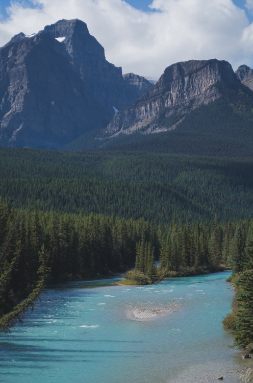 rachellaurenimagery: Banff National Park • Canada Instagram: rachel.lauren.imagery
