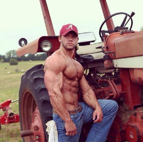 billyraysorensen:  Muscled up and all male …