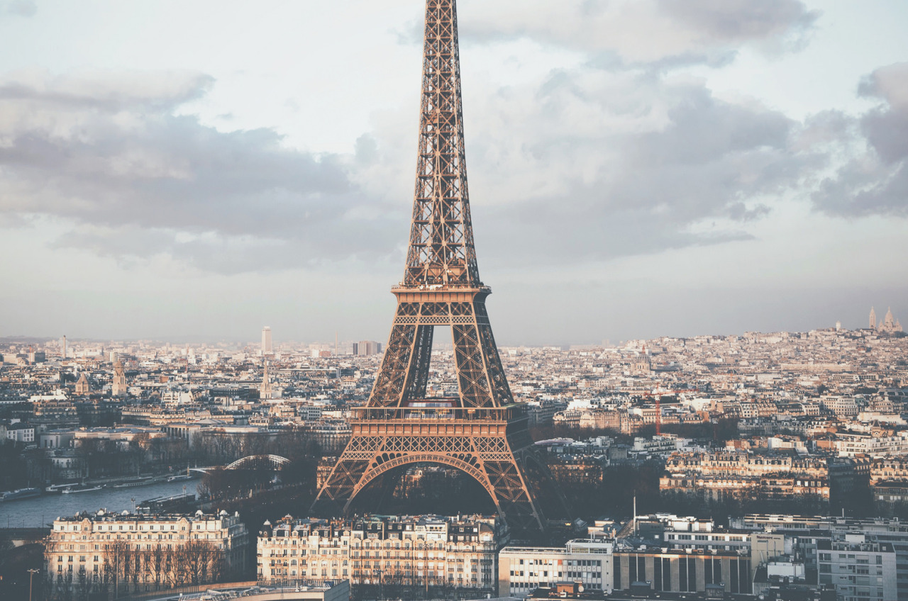 tryintoxpress:    Paris - Photographer ¦ Lifestyle - Nature   - Private     