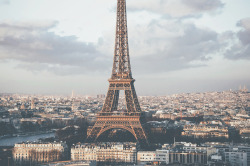 tryintoxpress:    Paris - Photographer ¦