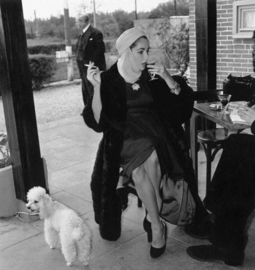 &lsquo;Taylor And Poodle&rsquo; by Stanley Sherman American actress Elizabeth Taylor sips a 