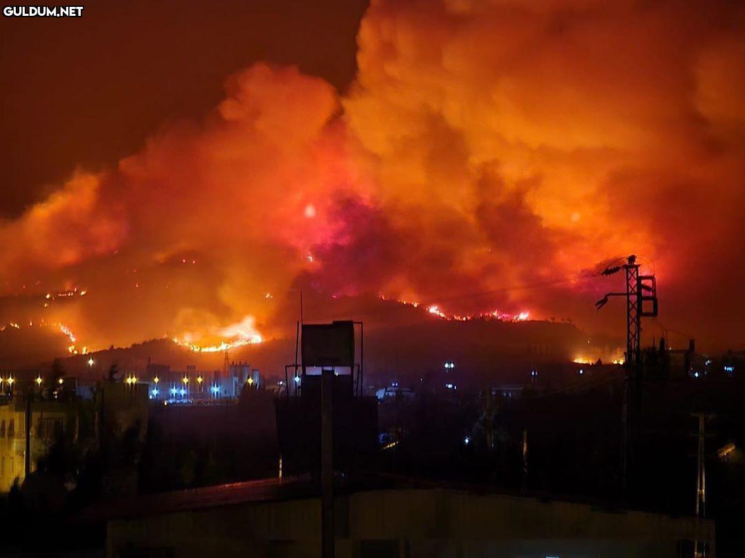 Hatay’ın yanmadık yeri...