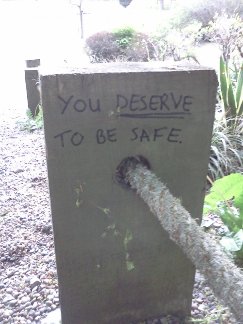 supergaygenes:  dyspraspie:  Graffiti written on a line of wooden posts.  Messages read: TW: Abuse; loving relationships can be abusive relationships; love is not all you need; what you need is to be safe from emotional, physical and sexual abuse; you