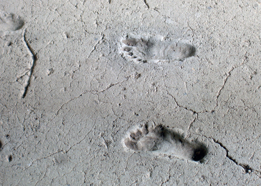 historical-nonfiction:  6,000 year old footprints baked into the volcanic mud in