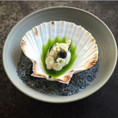 Scallop, Celeriac, Limequat. ✅ By - @restaurant_at ✅ . #ChefsOfInstagram . www.ChefsOF.com