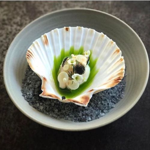 Scallop, Celeriac, Limequat. ✅ By - @restaurant_at ✅ . #ChefsOfInstagram . www.ChefsOF.com 