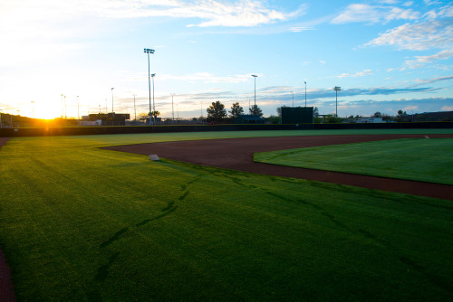 mlb:  Spring is near.