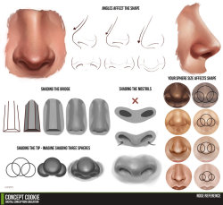 deviantart:  Nose Tutorial Resource by ~ConceptCookie