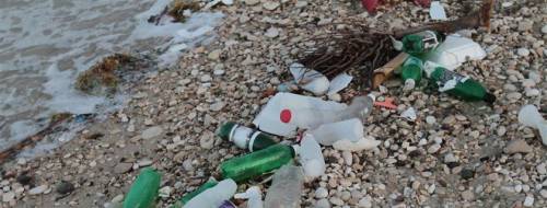 breakingnews:Survey finds as many as 13 million tons of plastic pollute oceansNBC News:  As muc