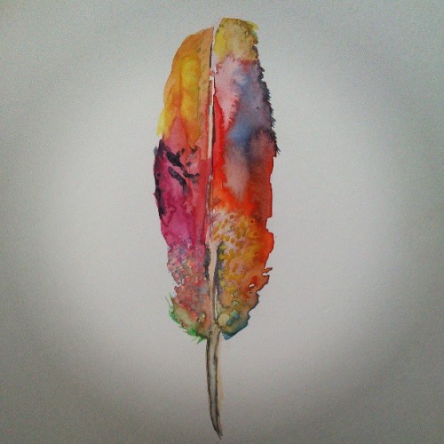 #feather #colour #painting #watercolour #red adult photos