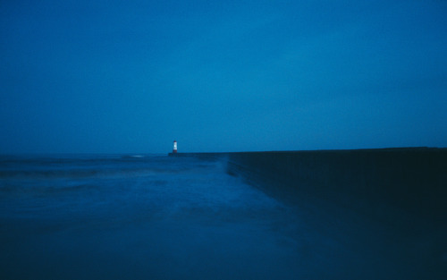 seashellie - blue