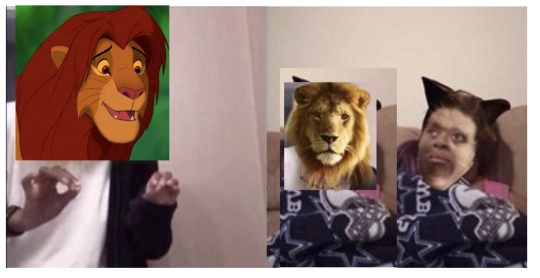 captain-snark:  onceuponamirror: anthony-mcpartlin:  sethgetrecked:  nicolauda:  stream:  Lion King (1994) explaining the importance of stylized 2D animation:Lion King (2019) and Cats (2019):  Kimba The White Lion (1965) explaining the importance of an
