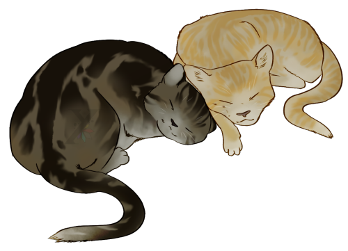 Drawing of two of my cats! Ockie and Goldenray. Stealing my entire bed while im trying to use my com