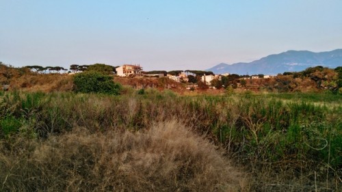 Volcanic Land (foto Mie)
