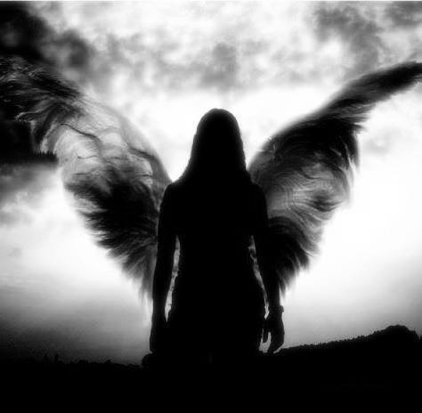 twilight-kingdom:  Unknown 