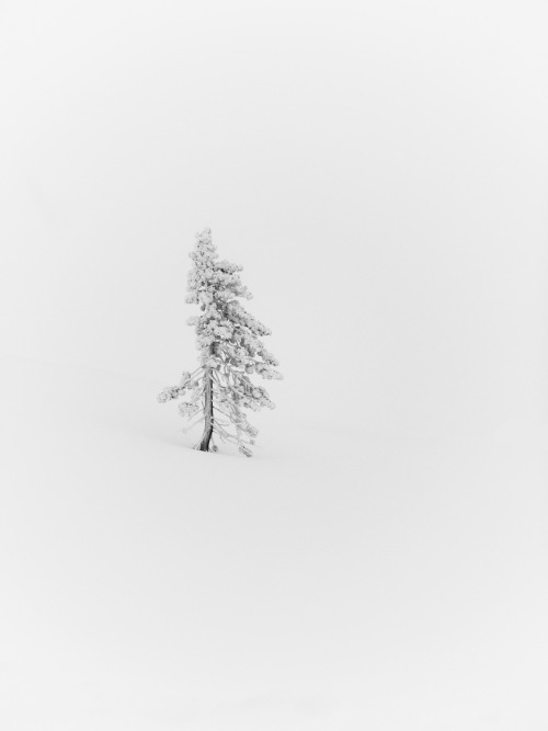feelthecold:  Scott Withers 