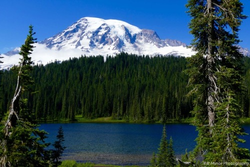 bminorphotography:  Mount Rainier Lake Redbubble / Society6