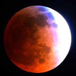 weallheartonedirection:  Blood Moon from Mt. Lemmon SkyCenter in Arizona.