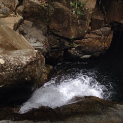 crecer&ndash;apesta:  crecer–apesta:  Patillas, Puerto Rico