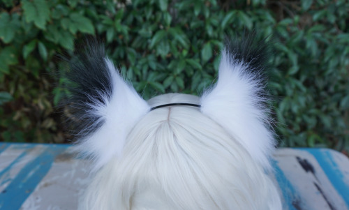  Cat/Fox Headband Ears White ears with black tips and white suede inside. Such a pretty combo. ♥ See