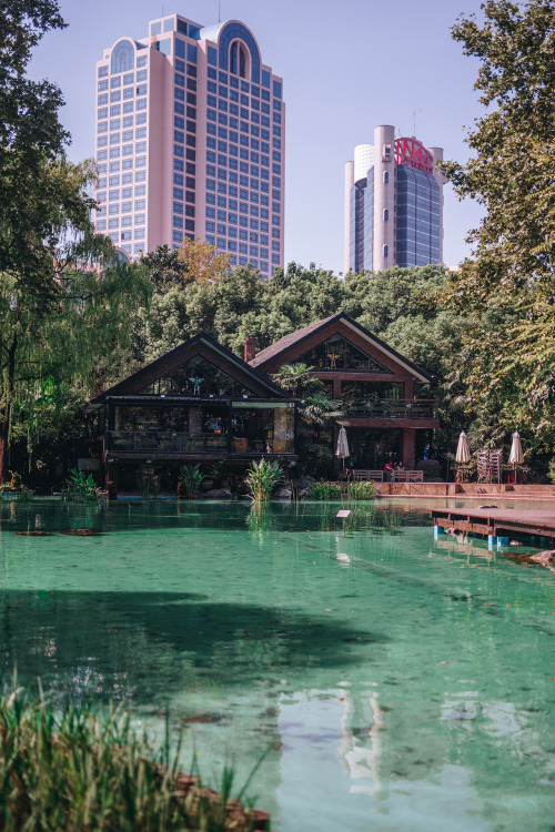 rollin ma belly round jing’an park.never seen the water so clean and pool-like. last time it looked 