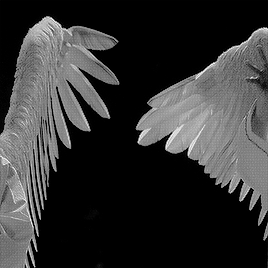 “[Aziraphale’s And Crowley’s Wings] Were Created For Season 1, But We Redid Them As They Needed