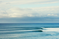 bokkie-naai:  The Surf Life 