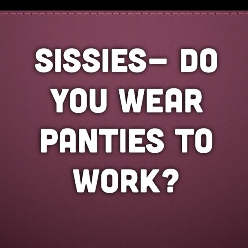 Curious Sissy
