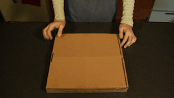 kiggor:  Pizza Box Turns into Plates &