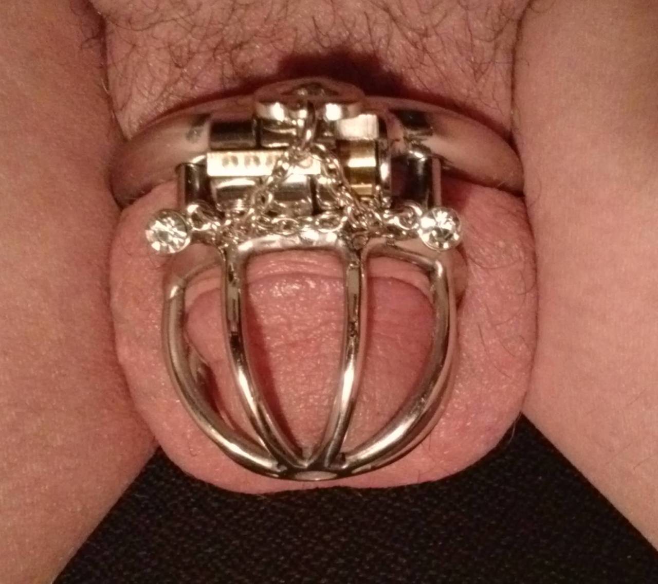 justcaged: tkellississydesires: Thought I would post a few pictures of my little