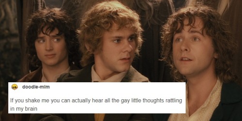 penny-anna:pippin took + text posts(sources: 1 2 3 4 5 6 7 8)