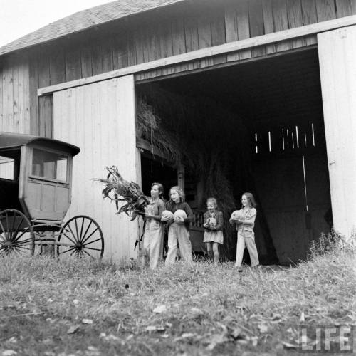 Getting the pumpkins(William C. Shrout. 1941)