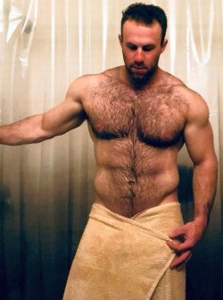 hairytreasurechests: FOLLOW MY OTHER TUMBLR BLOGS: Hairy, bearded and older men who are well hung: menwhohangwell.tumblr.com  Hairy men and dads in open bathrobes:                                                      openrobe.tumblr.com