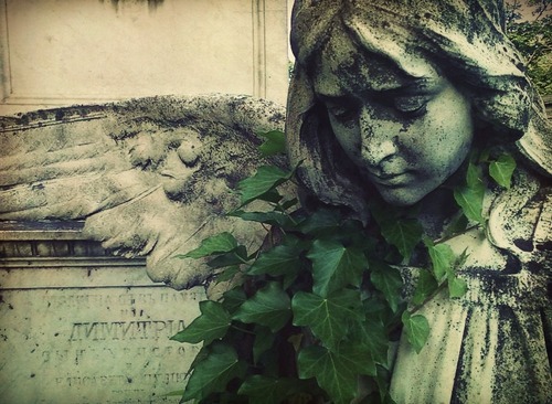 introductiontogothicculture:    Șerban Vodă cemetery (Bellu Cemetery) in Bucharest, Romania.   