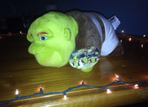 shrek pillow pet