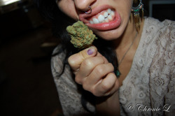 smokethesativa:  FoLLoW ThE sAtIVa