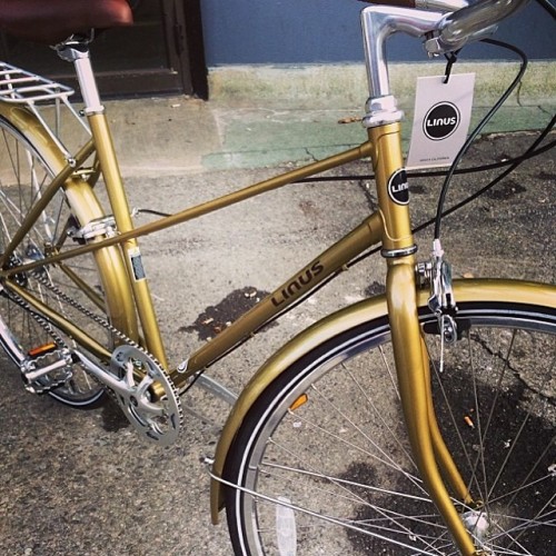 linusbike:  A look at the new gold Mixte 3 from @bikesonwheels. #gold #mixte #bike #linusbike