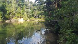 Day 3 and we&rsquo;re at Alligators nest near Tully QLD. It&rsquo;s an oasis nestled in the rainforest. I feel right at home here and am loving it. I feel so chilled out! Feeling the love and having a great time with friends that I haven&rsquo;t seen