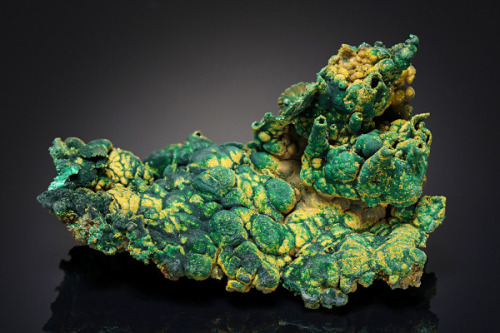 vugnasmineralblog: Malachite with Pyromorphite Rum Jungle, Batchelor, Coomalie Shire, Northern Terri