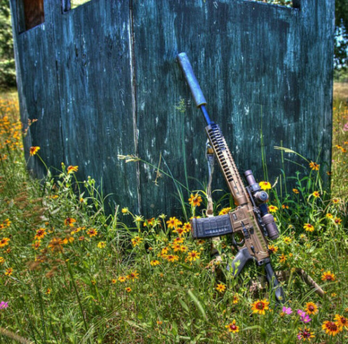 bmorel3git.tumblr.com/post/121285043877/